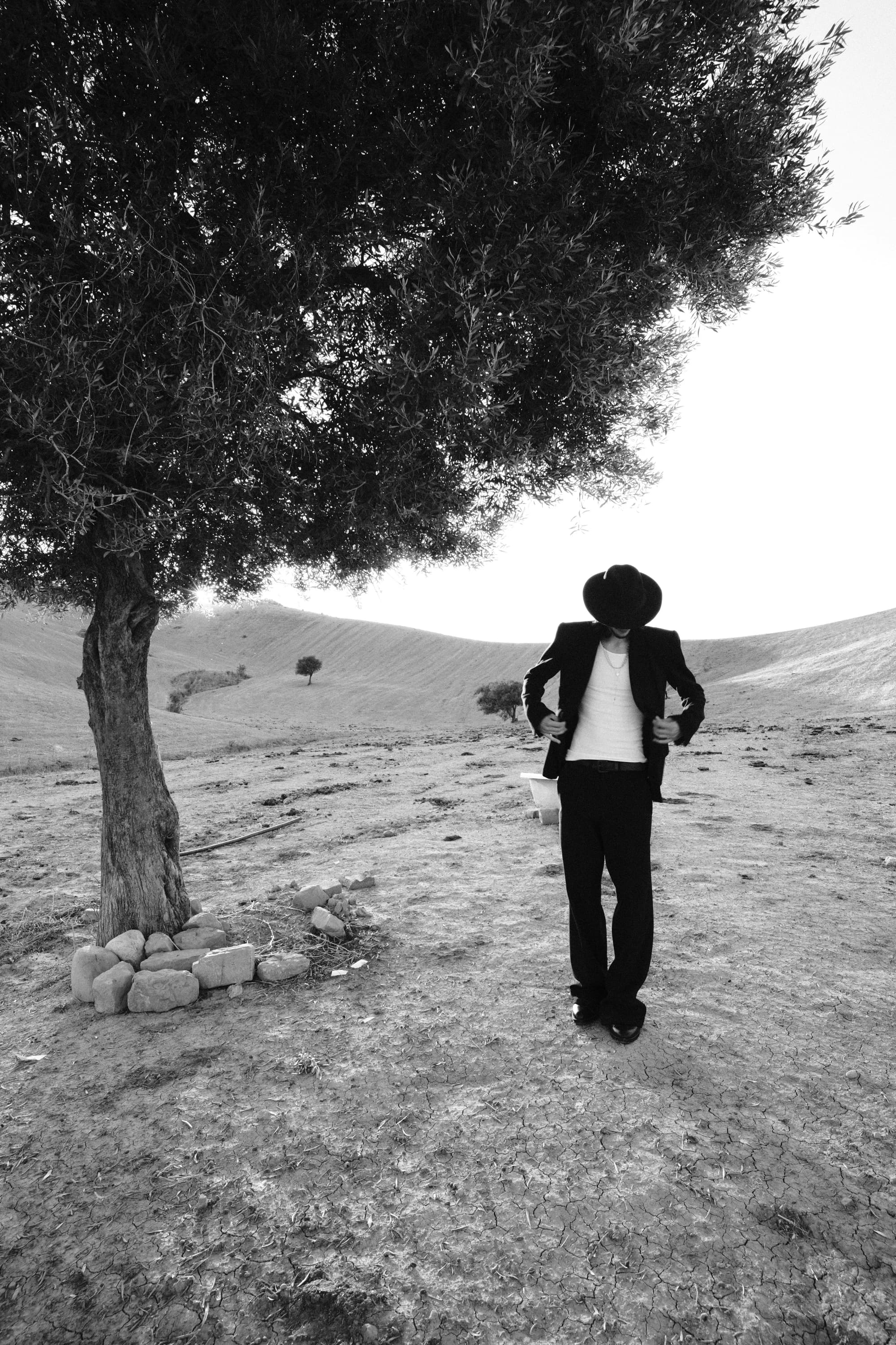 Portfolio Image 10014