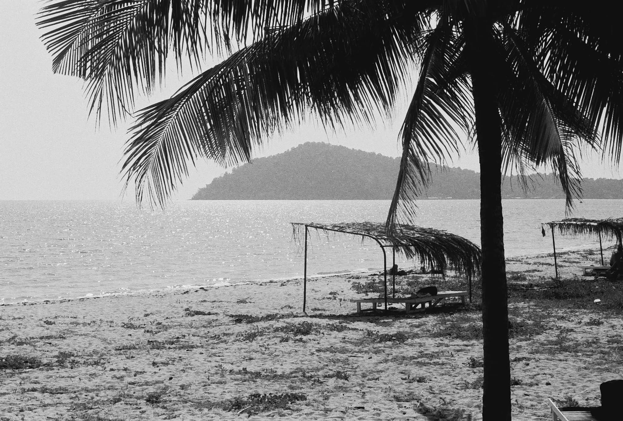 Portfolio Image 10019