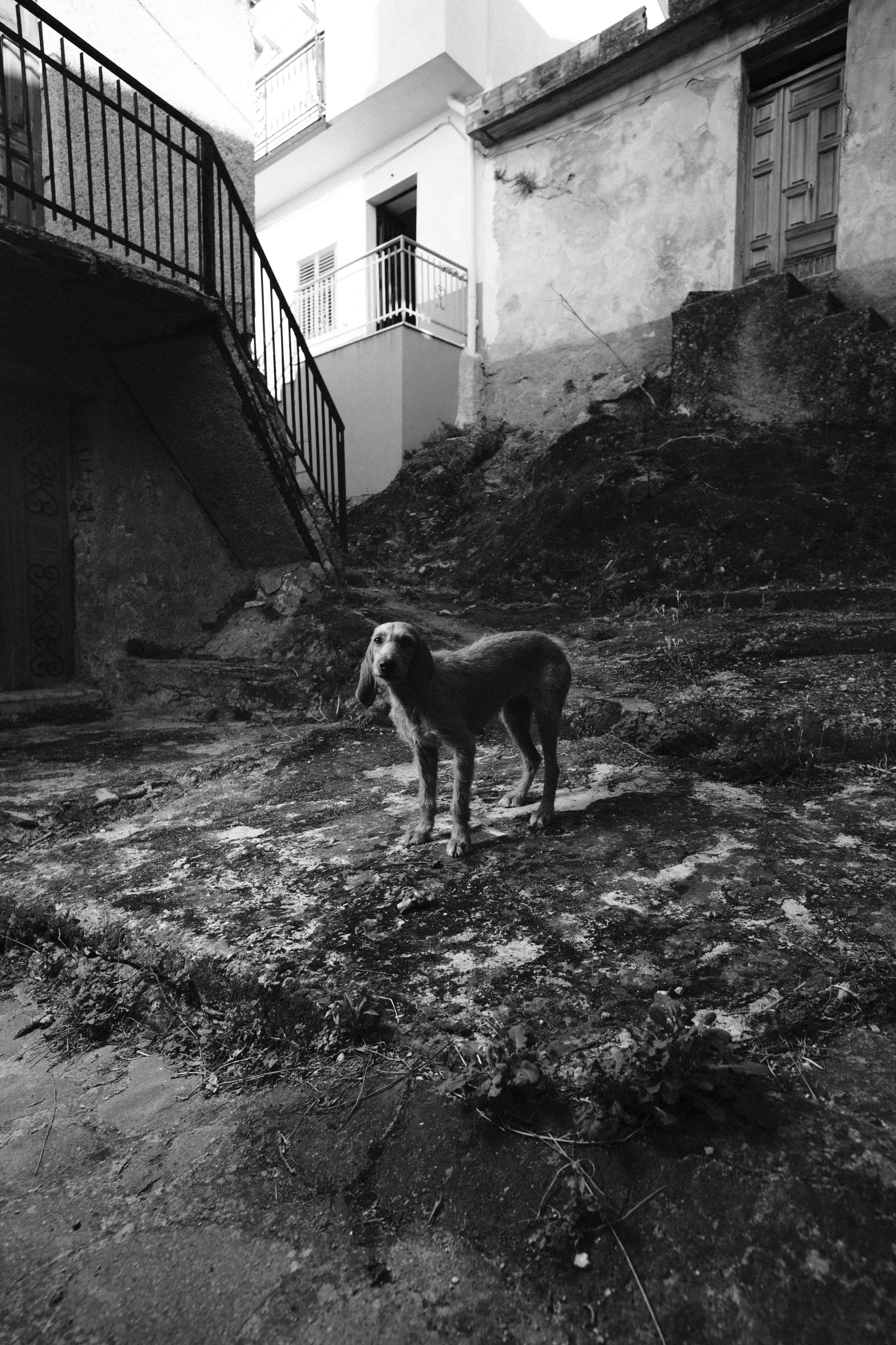 Portfolio Image 1002