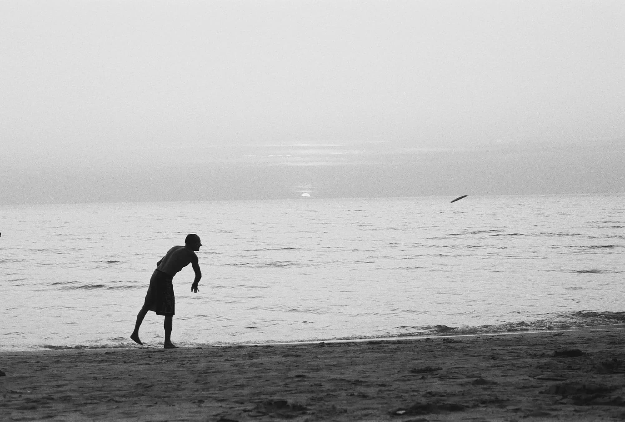 Portfolio Image 10020