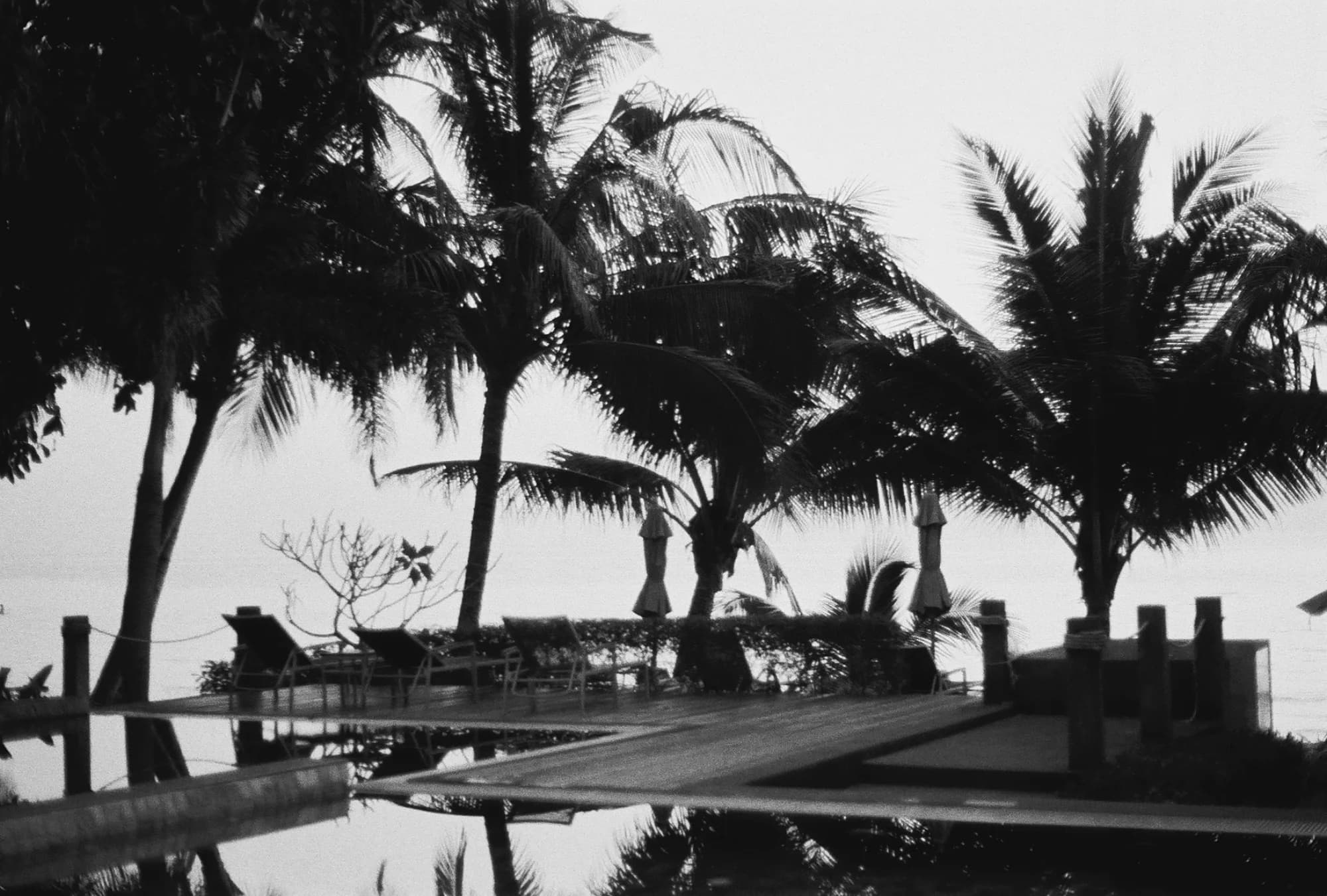 Portfolio Image 10022