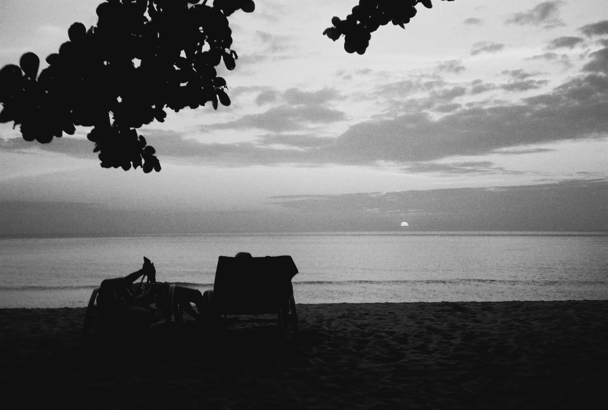 Portfolio Image 10023