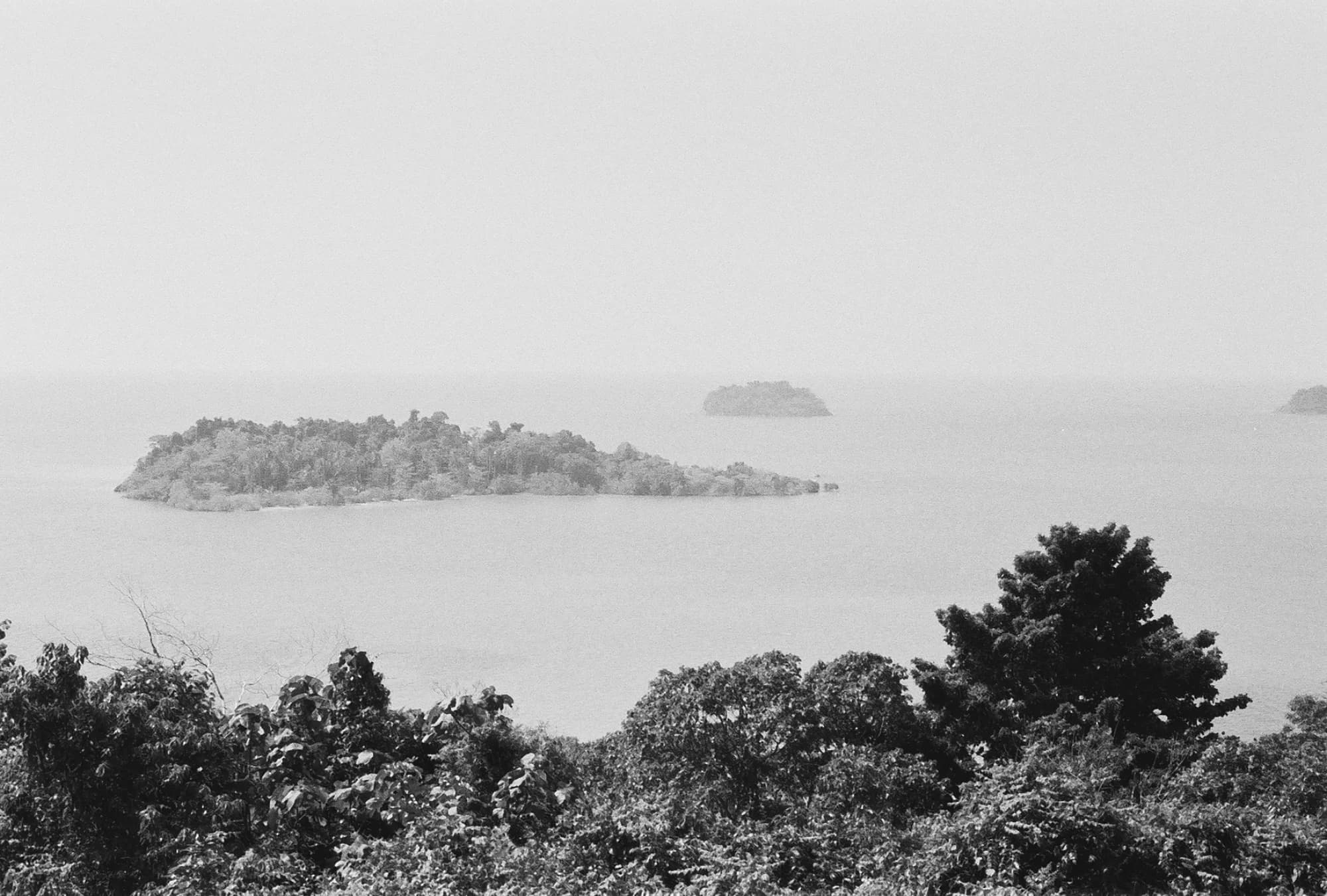 Portfolio Image 10026