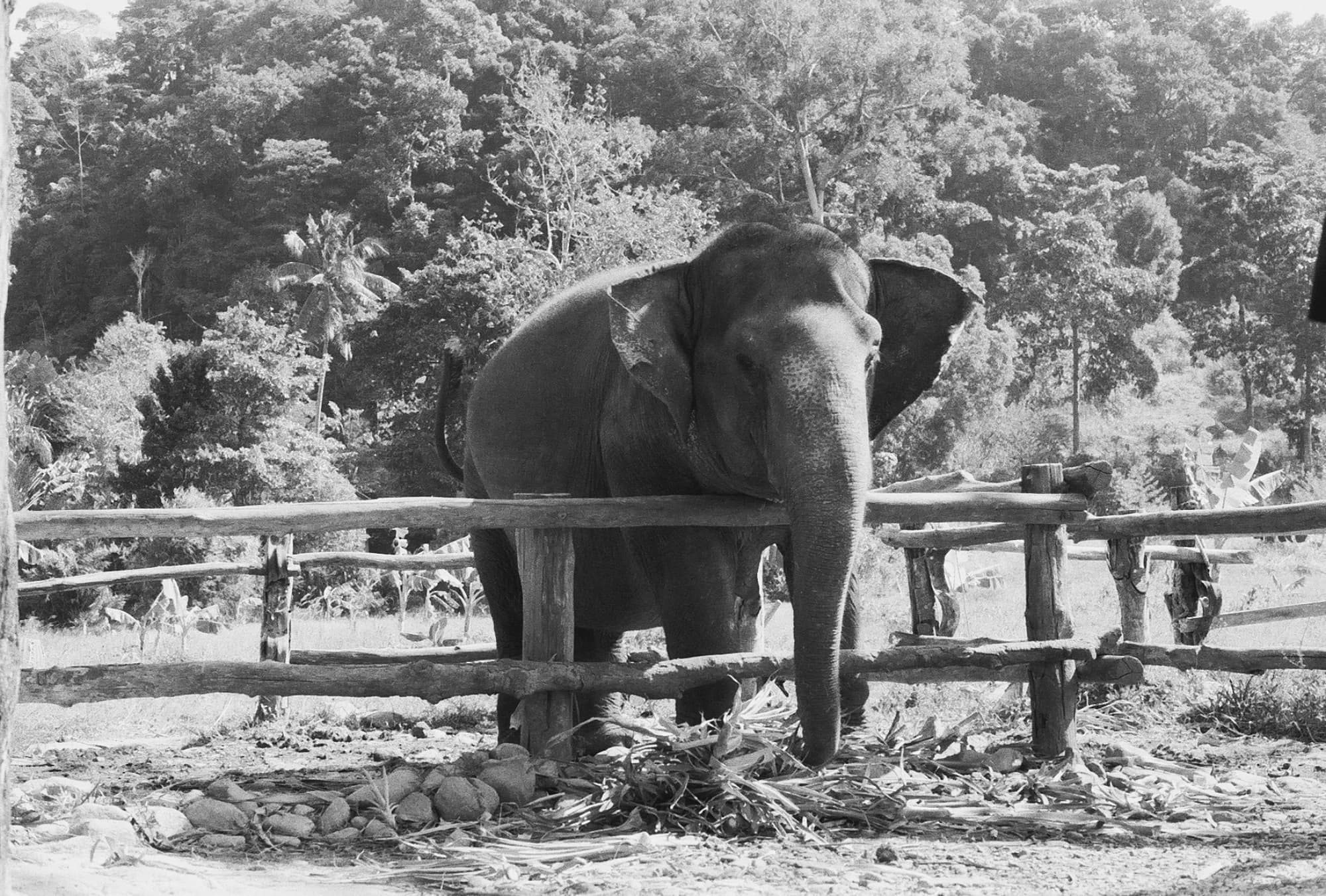 Portfolio Image 10029