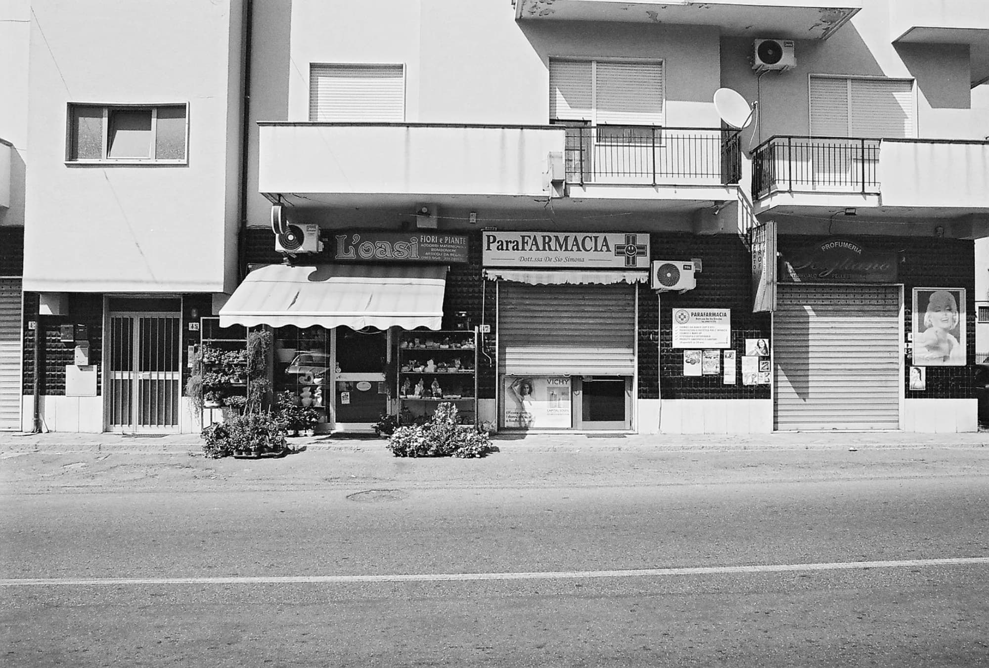 Portfolio Image 10031