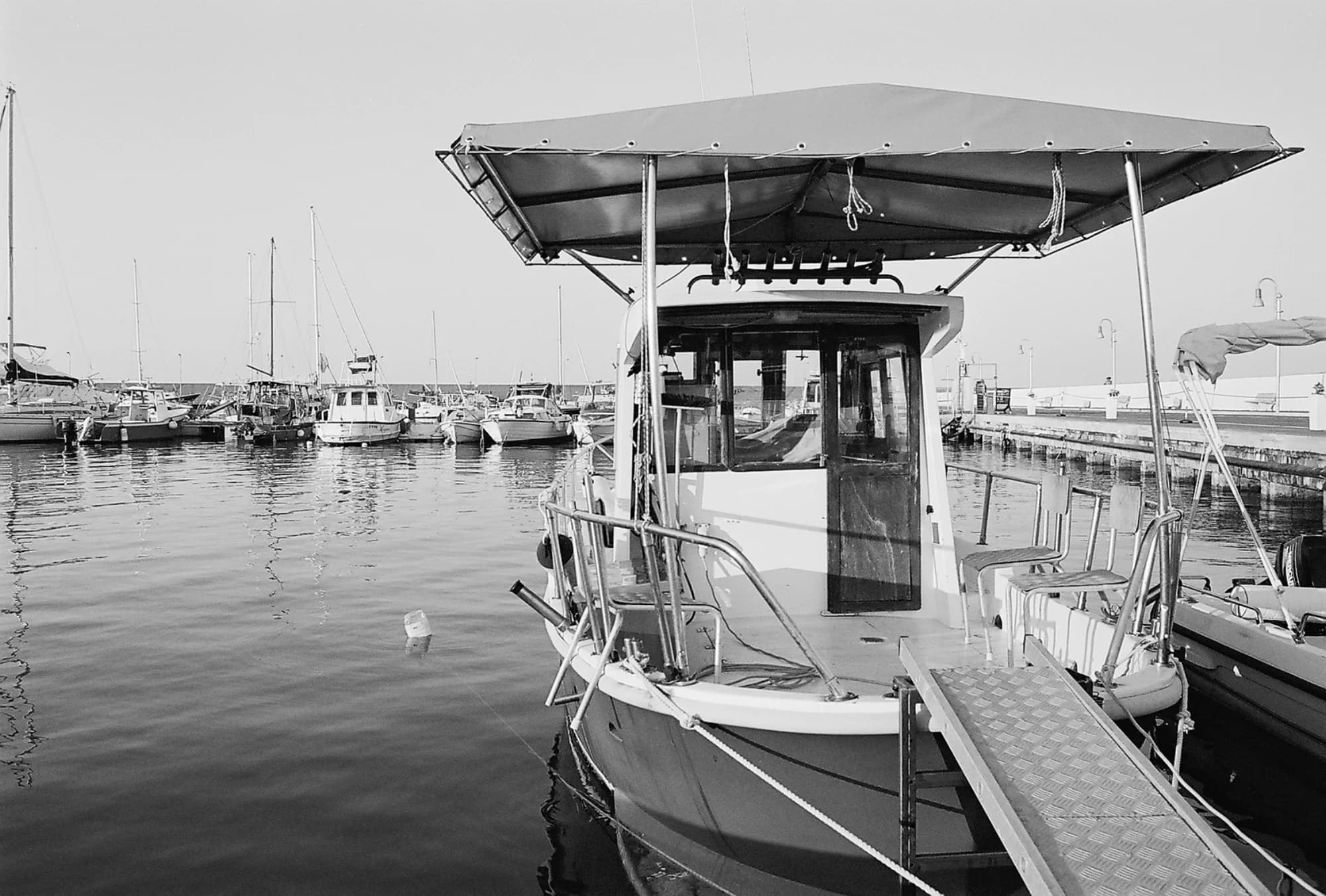 Portfolio Image 10032