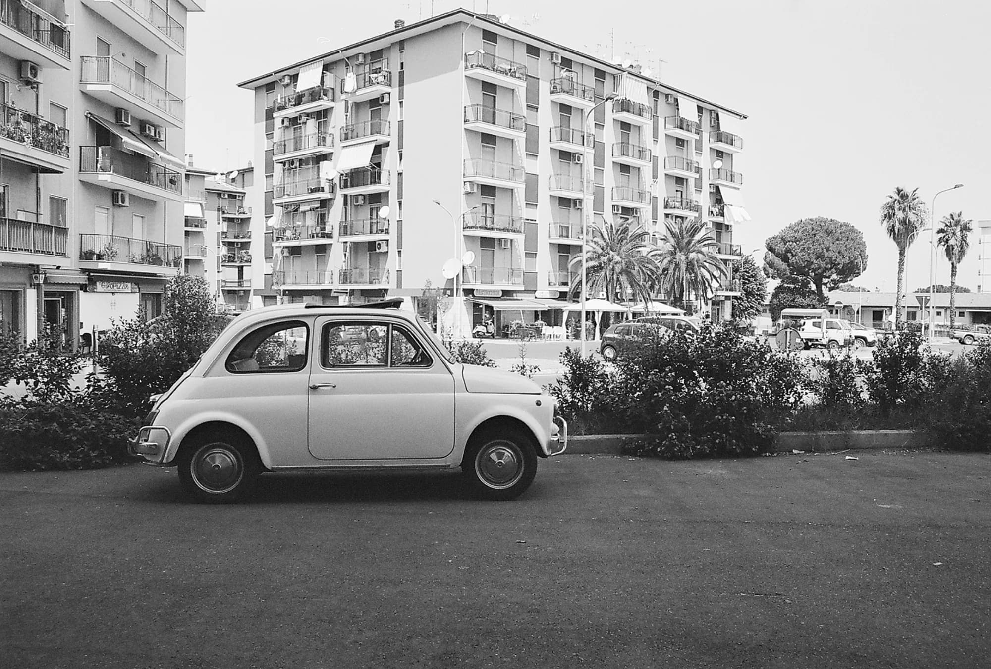 Portfolio Image 10036