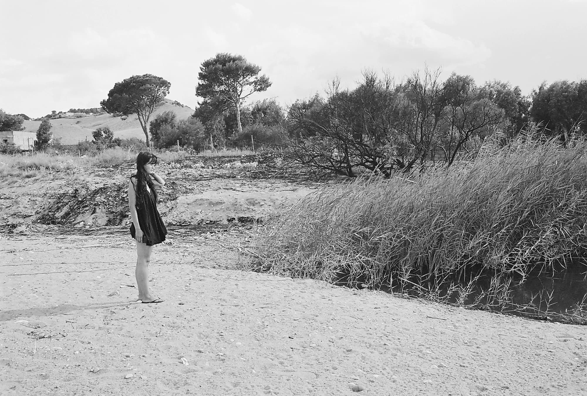 Portfolio Image 10039