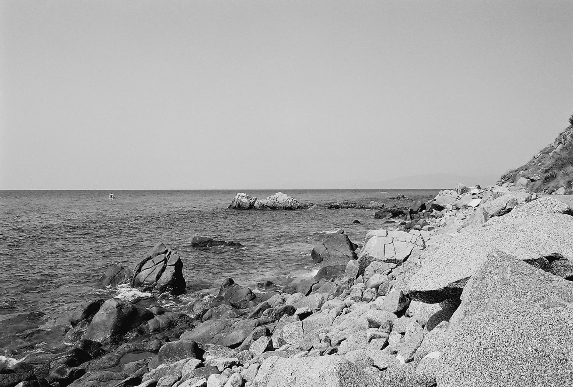 Portfolio Image 10041