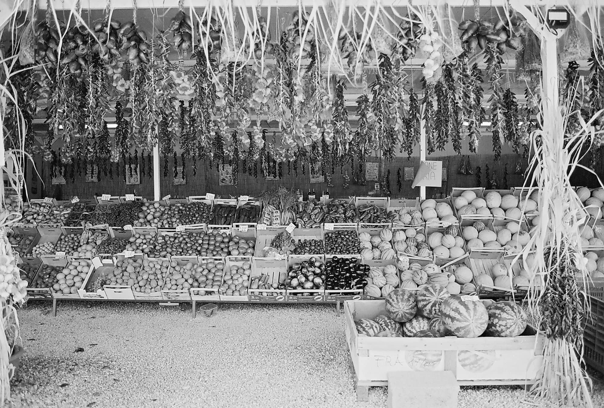 Portfolio Image 10044