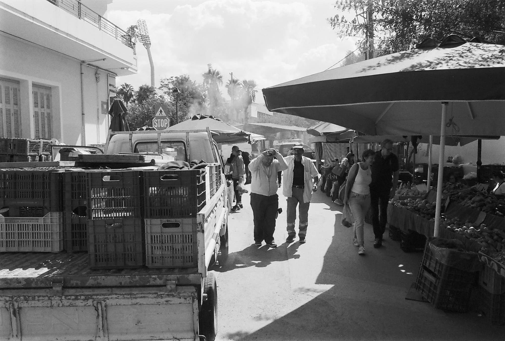 Portfolio Image 10057