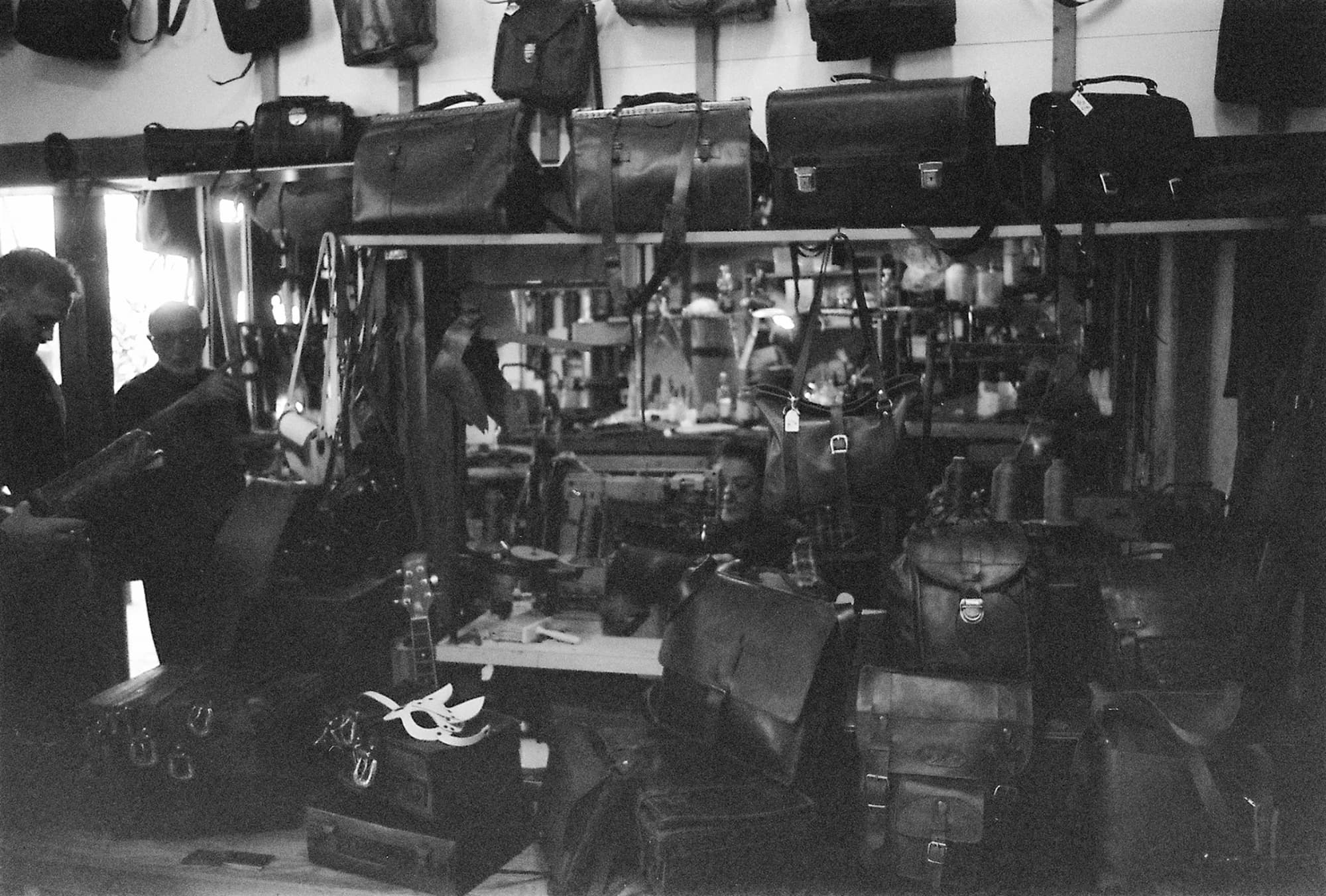 Portfolio Image 10067