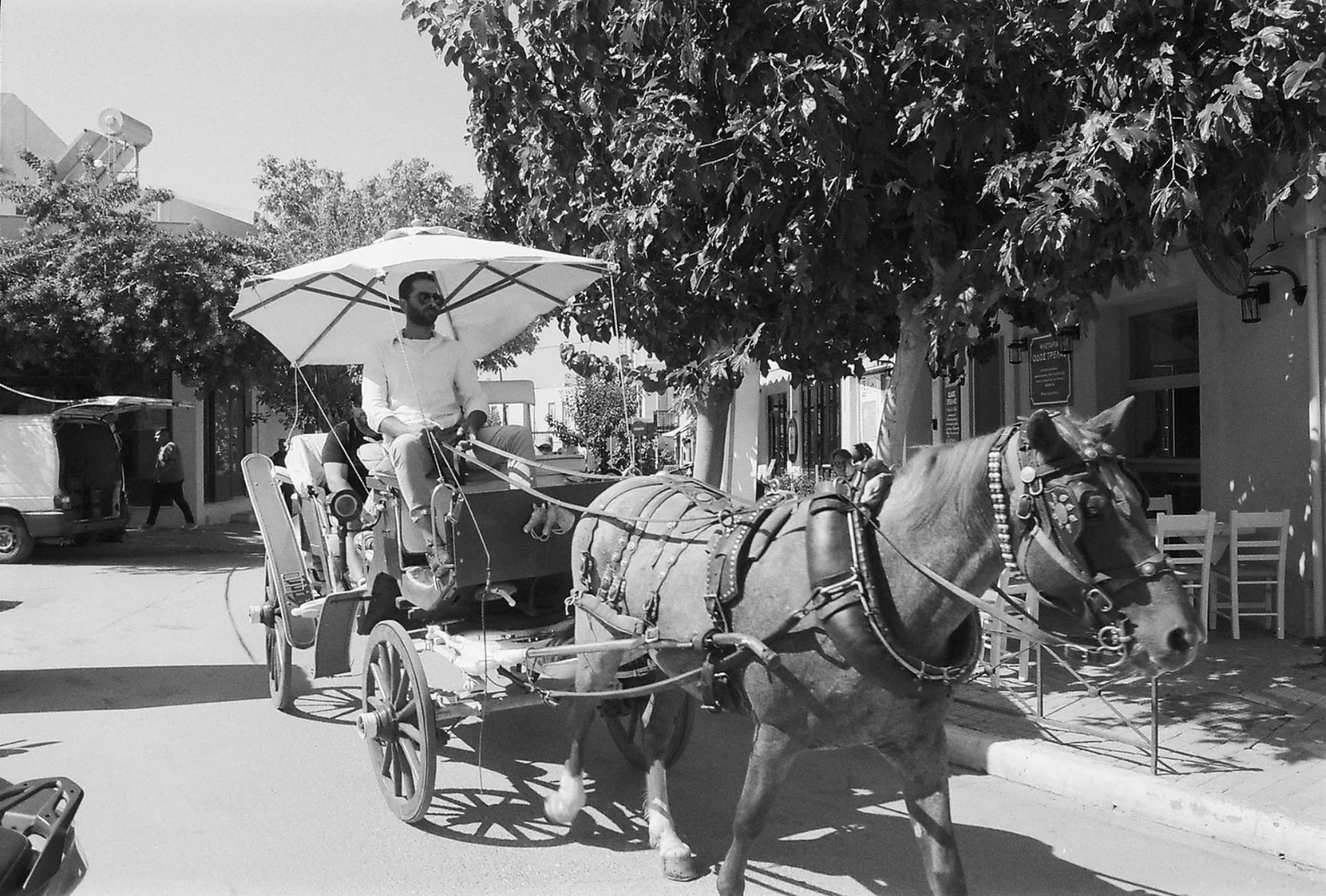 Portfolio Image 10068