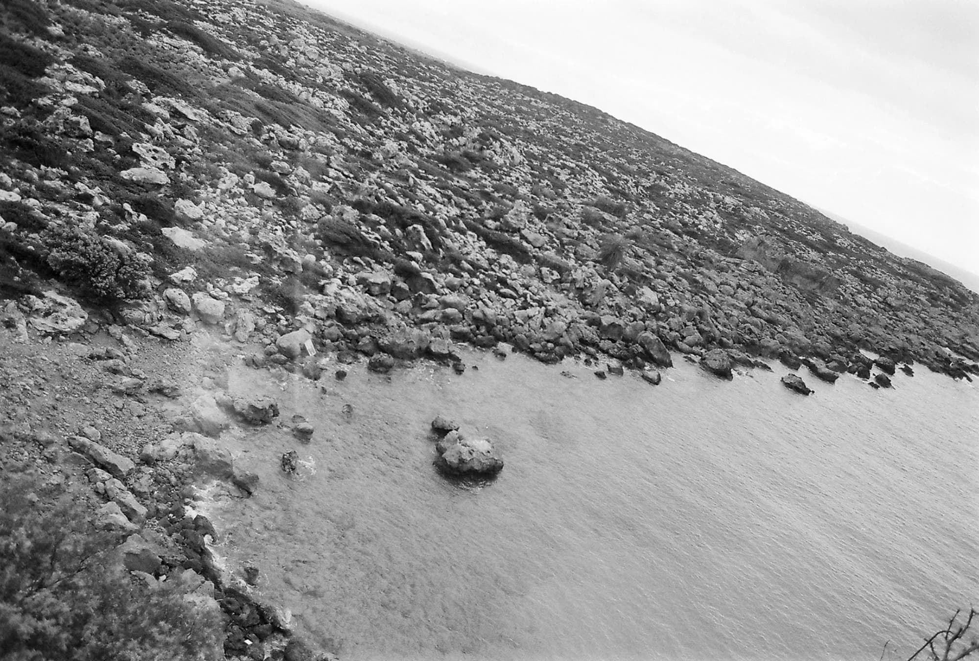 Portfolio Image 10073