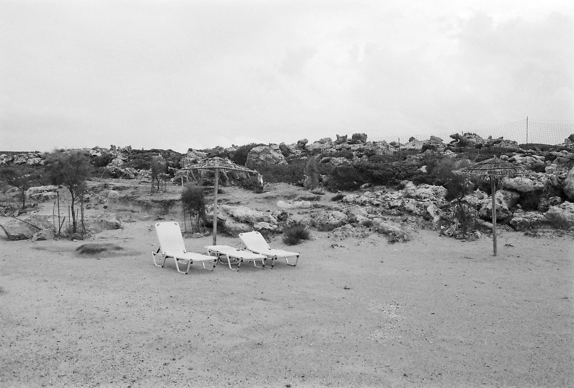 Portfolio Image 10074