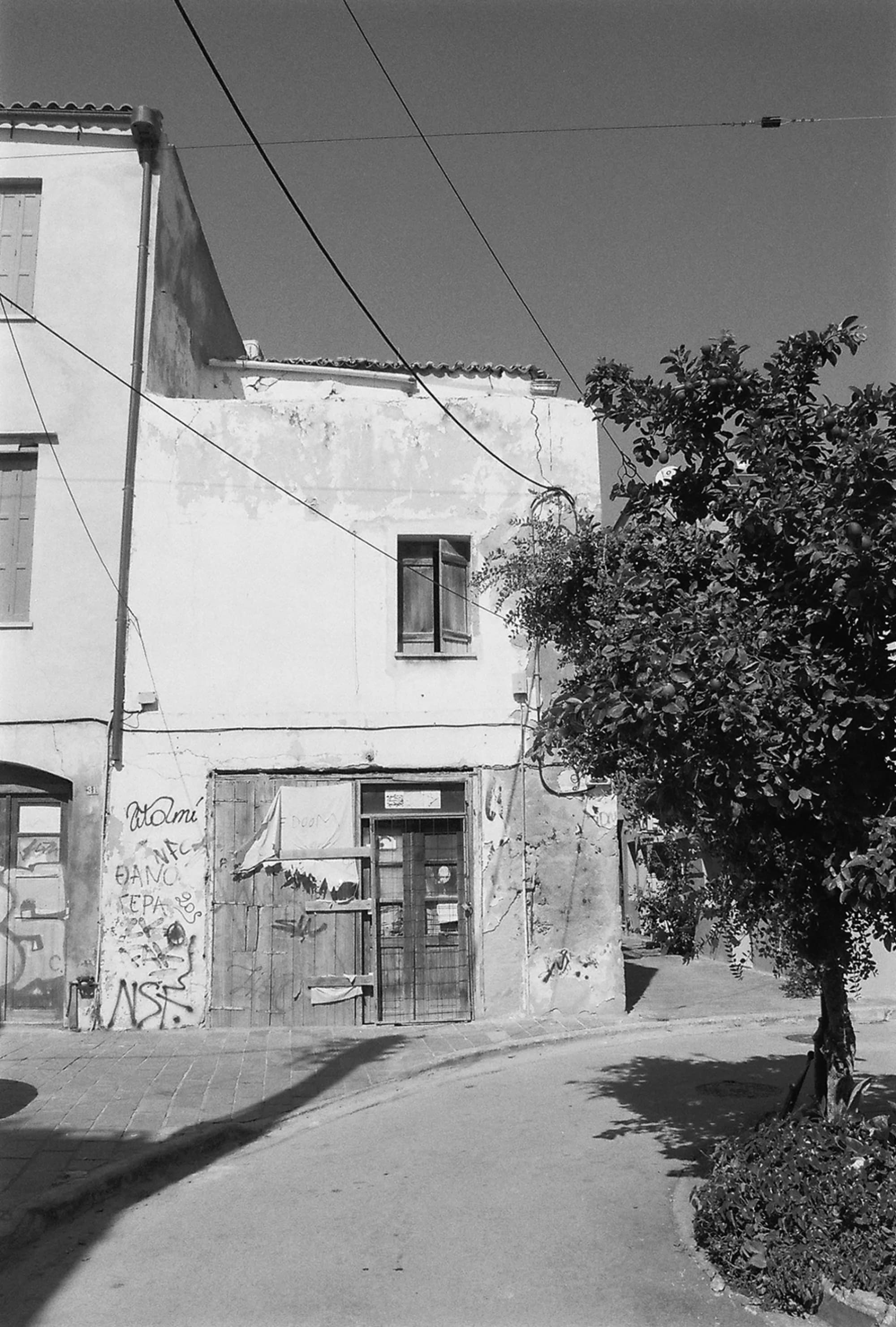 Portfolio Image 10075