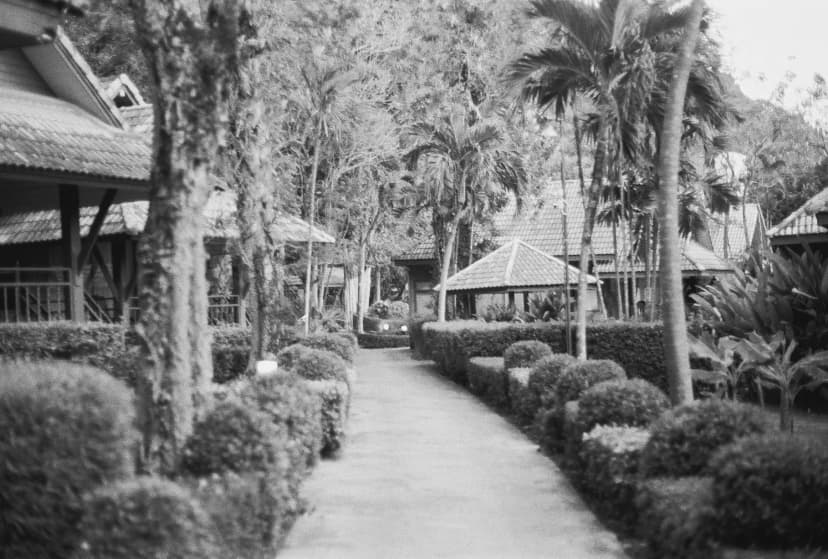 Portfolio Image 32